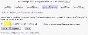 Как определить случайного победителя с помощью random.org - шаг 5