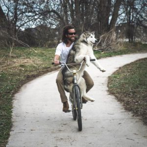 Самые популярные питомцы в Инстаграм за 2017 год