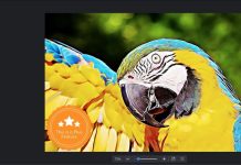 Как превратить фото в картину онлайн и в приложениях iOS и Android