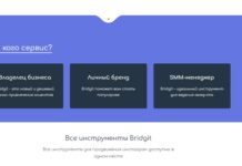 Обзор программы Bridgit